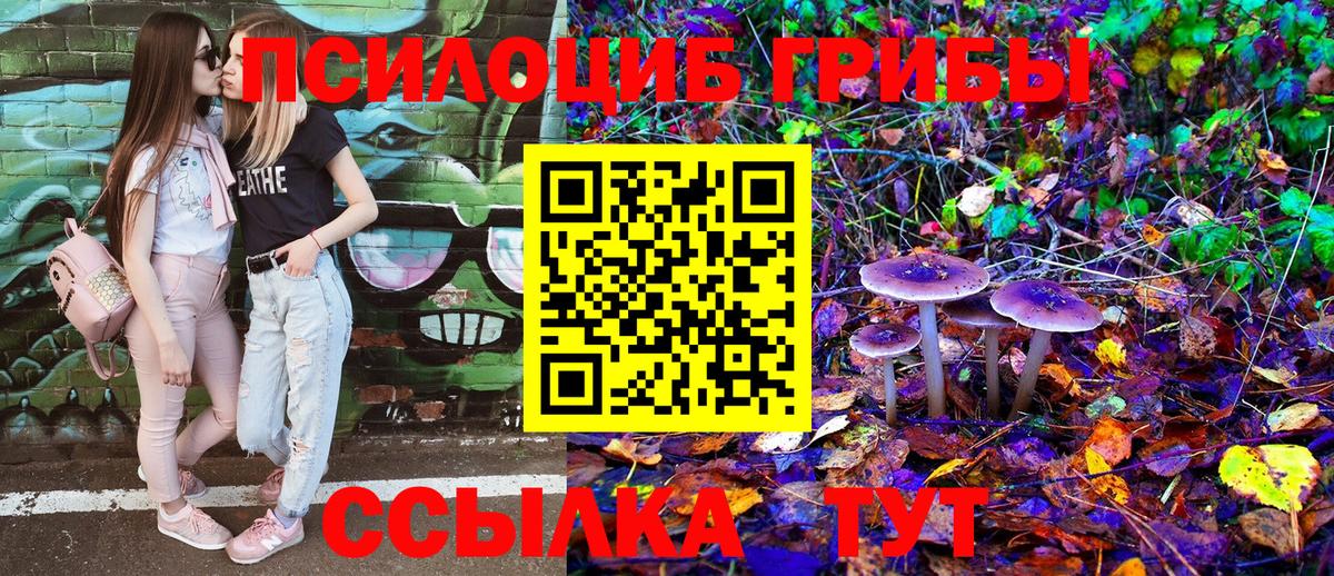 Новосибирск  Галлюциногенные грибы Cubensis  Вход с VPN 